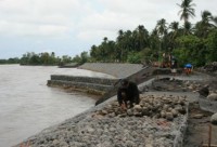 /album/bordas/nacionales-borda-prevencion-preima20100528-0010-5-jpg/