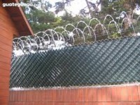 /album/malla-galvanizada-con-privacinta/images-jpg15/